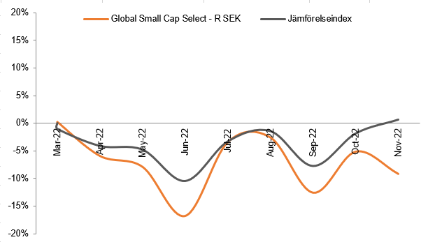 Förvaltarkommentar Coeli Global Small Cap Select november 2022