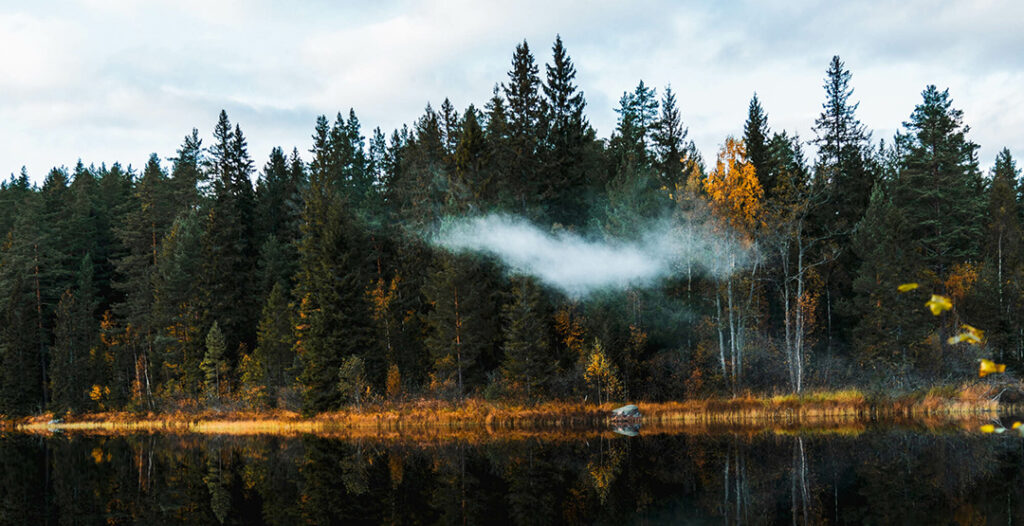 Natur som speglar stabilitet och tillförlitlighet inom finans och ESG.